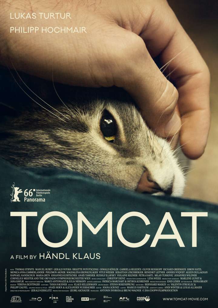 TOMCAT