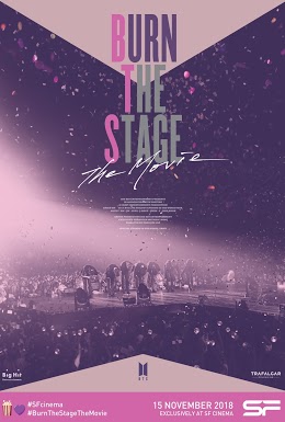 Burn The Stage: The Movie