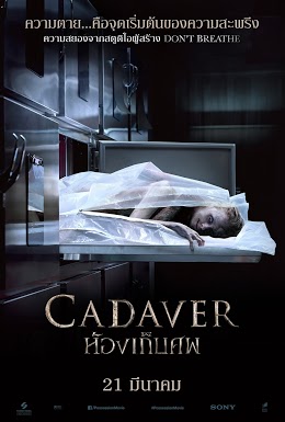 Cadaver