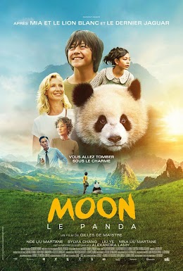 Moon The Panda